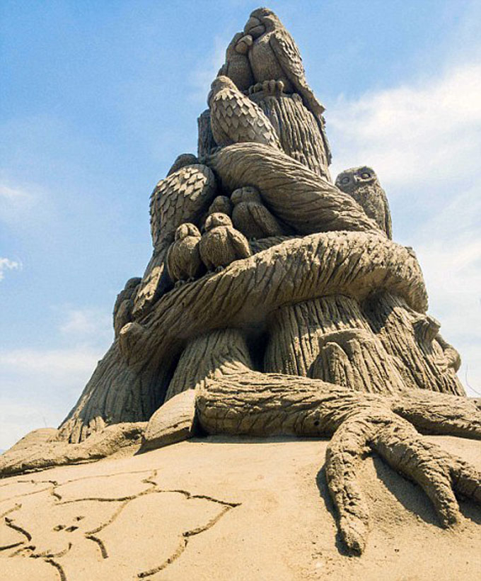 闪耀的沙雕作品,转瞬即逝却仍然经典--置顶表情